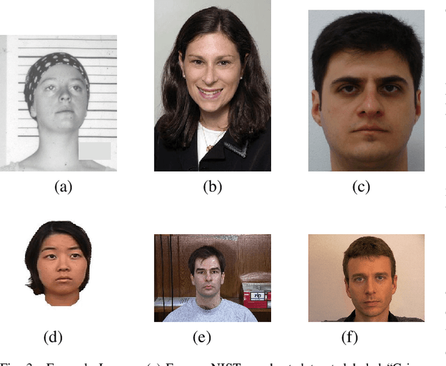 Figure 3 for The Criminality From Face Illusion