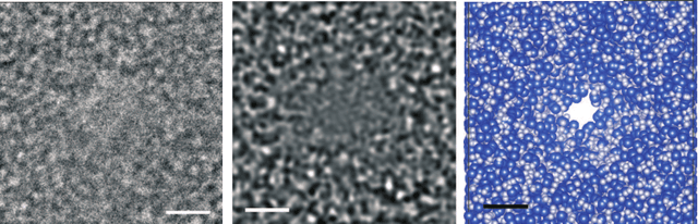 Figure 1 for Single-Molecule Protein Identification by Sub-Nanopore Sensors