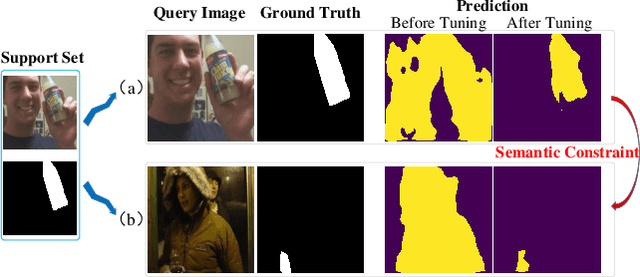 Figure 1 for Self-Supervised Tuning for Few-Shot Segmentation