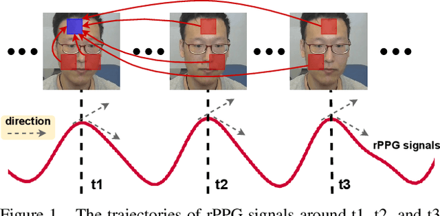 Figure 1 for PhysFormer: Facial Video-based Physiological Measurement with Temporal Difference Transformer