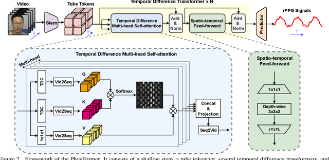 Figure 3 for PhysFormer: Facial Video-based Physiological Measurement with Temporal Difference Transformer
