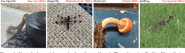 Figure 1 for Natural Adversarial Examples
