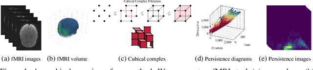 Figure 1 for Uncovering the Topology of Time-Varying fMRI Data using Cubical Persistence