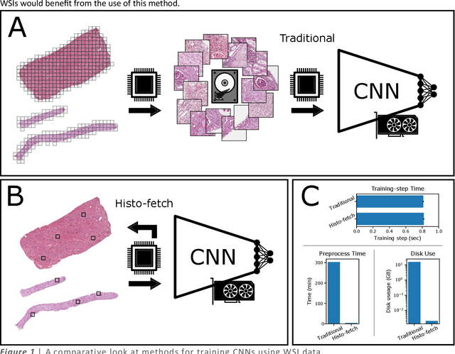 Figure 1 for Histo-fetch -- On-the-fly processing of gigapixel whole slide images simplifies and speeds neural network training