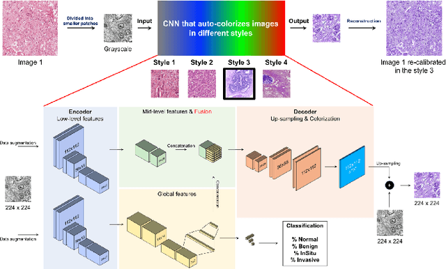 Figure 3 for Neural Stain Normalization and Unsupervised Classification of Cell Nuclei in Histopathological Breast Cancer Images