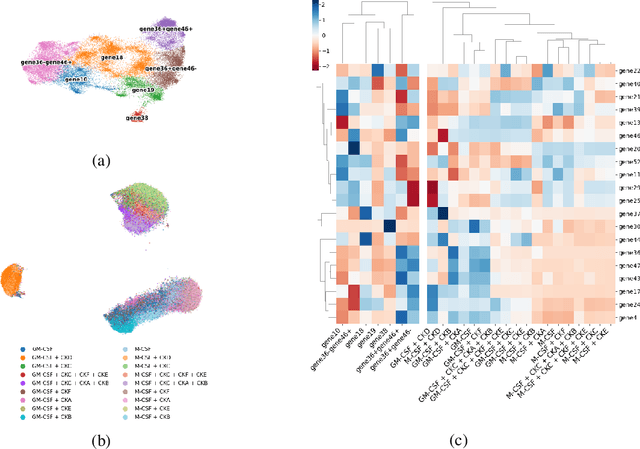 Figure 2 for SystemMatch: optimizing preclinical drug models to human clinical outcomes via generative latent-space matching