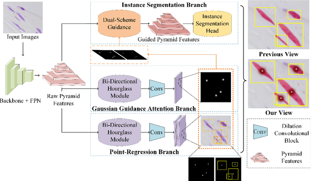 Figure 3 for Look in Different Views: Multi-Scheme Regression Guided Cell Instance Segmentation