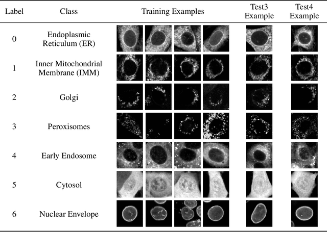 Figure 1 for The Cells Out of Sample  dataset and benchmarks for measuring out-of-sample generalization of image classifiers