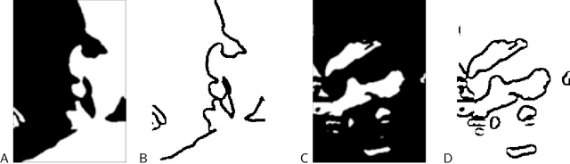 Figure 2 for The Role of Edges in Line Drawing Perception