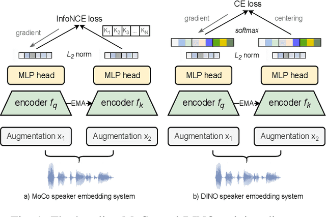 Figure 1 for C3-DINO: Joint Contrastive and Non-contrastive Self-Supervised Learning for Speaker Verification