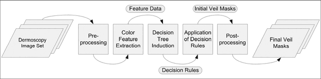 Figure 1 for Automatic Detection of Blue-White Veil and Related Structures in Dermoscopy Images