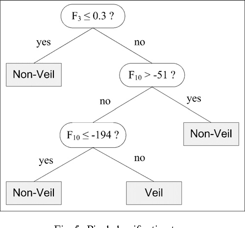 Figure 3 for Automatic Detection of Blue-White Veil and Related Structures in Dermoscopy Images