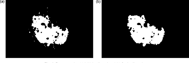 Figure 4 for Automatic Detection of Blue-White Veil and Related Structures in Dermoscopy Images