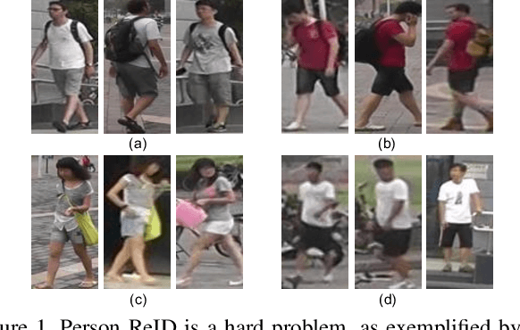 Figure 1 for Omni-Scale Feature Learning for Person Re-Identification