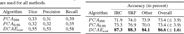 Figure 1 for Identifying and Categorizing Anomalies in Retinal Imaging Data