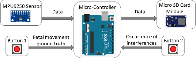 Figure 1 for Assessment of Fetal and Maternal Well-Being During Pregnancy Using Passive Wearable Inertial Sensor