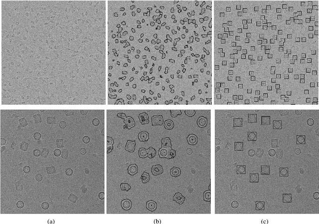 Figure 1 for APPLE Picker: Automatic Particle Picking, a Low-Effort Cryo-EM Framework