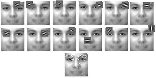 Figure 1 for Parallel AdaBoost Algorithm for Gabor Wavelet Selection in Face Recognition