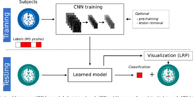 Figure 1 for Uncovering convolutional neural network decisions for diagnosing multiple sclerosis on conventional MRI using layer-wise relevance propagation