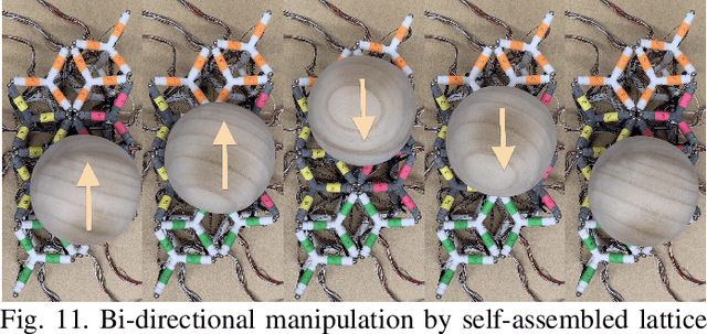 Figure 3 for Soft Lattice Modules that Behave Independently and Collectively