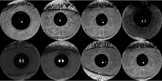 Figure 1 for Synthetic Iris Presentation Attack using iDCGAN