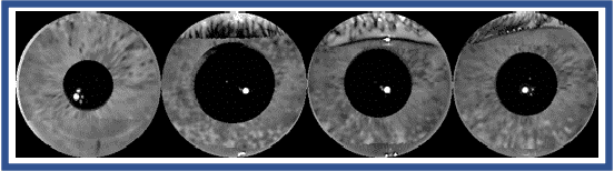 Figure 2 for Synthetic Iris Presentation Attack using iDCGAN