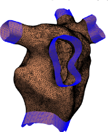 Figure 3 for Gaussian Process Manifold Interpolation for Probabilistic Atrial Activation Maps and Uncertain Conduction Velocity