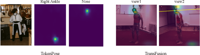 Figure 3 for PPT: token-Pruned Pose Transformer for monocular and multi-view human pose estimation