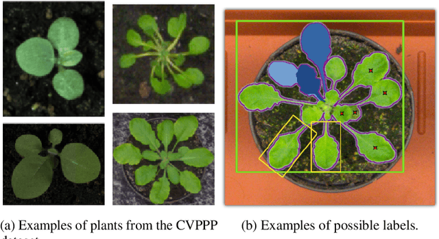 Figure 1 for Leaf Segmentation and Counting with Deep Learning: on Model Certainty, Test-Time Augmentation, Trade-Offs