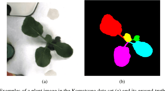 Figure 3 for Leaf Segmentation and Counting with Deep Learning: on Model Certainty, Test-Time Augmentation, Trade-Offs