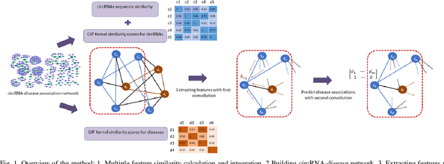 Figure 1 for Graph Convolution Networks Using Message Passing and Multi-Source Similarity Features for Predicting circRNA-Disease Association