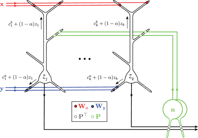 Figure 4 for A biologically plausible neural network for multi-channel Canonical Correlation Analysis