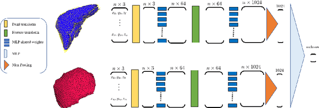 Figure 2 for Deep Shape Analysis on Abdominal Organs for Diabetes Prediction