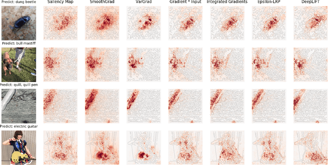 Figure 1 for Noise-adding Methods of Saliency Map as Series of Higher Order Partial Derivative