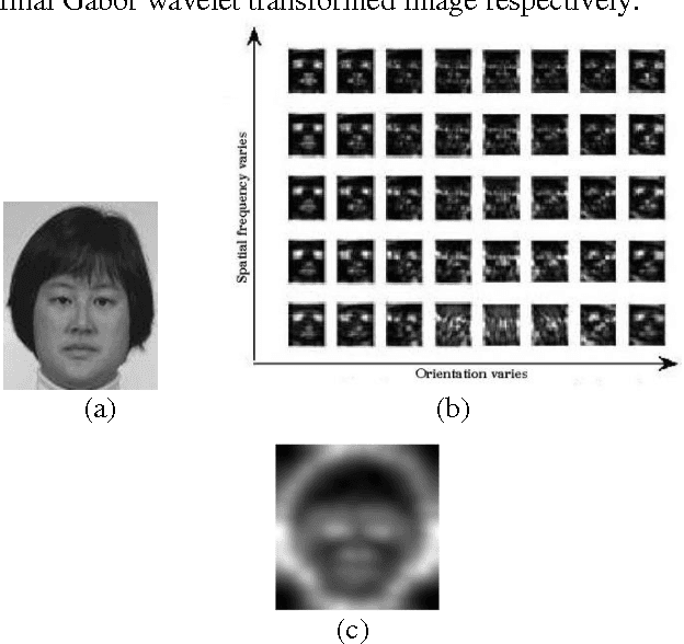 Figure 1 for High Performance Human Face Recognition using Gabor based Pseudo Hidden Markov Model