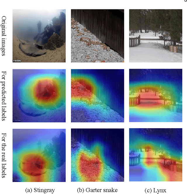 Figure 3 for Rethinking Natural Adversarial Examples for Classification Models