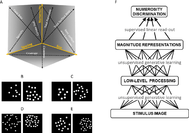 Figure 1 for Perception of visual numerosity in humans and machines