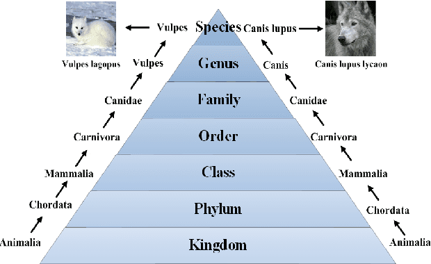 Figure 1 for A Biologically Inspired Feature Enhancement Framework for Zero-Shot Learning