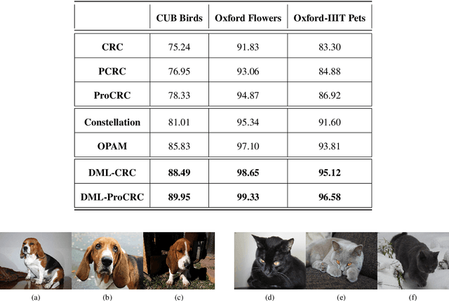 Figure 1 for Distance Metric Learned Collaborative Representation Classifier