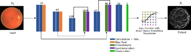 Figure 1 for U-Net with Graph Based Smoothing Regularizer for Small Vessel Segmentation on Fundus Image