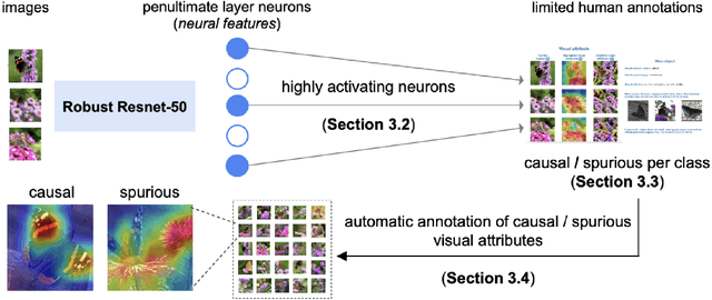 Figure 1 for Causal ImageNet: How to discover spurious features in Deep Learning?