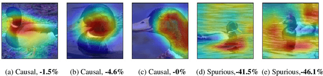 Figure 4 for Causal ImageNet: How to discover spurious features in Deep Learning?