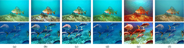 Figure 1 for Twice Mixing: A Rank Learning based Quality Assessment Approach for Underwater Image Enhancement