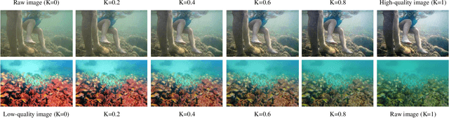 Figure 3 for Twice Mixing: A Rank Learning based Quality Assessment Approach for Underwater Image Enhancement