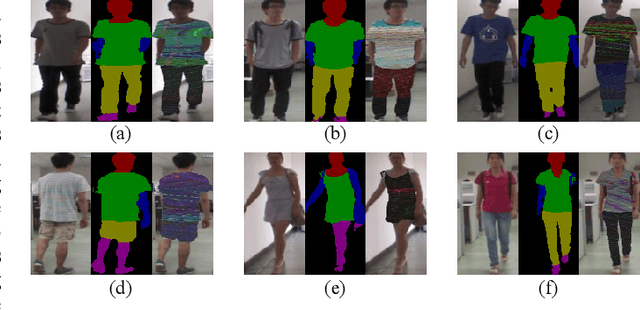 Figure 1 for Semantic-guided Pixel Sampling for Cloth-Changing Person Re-identification