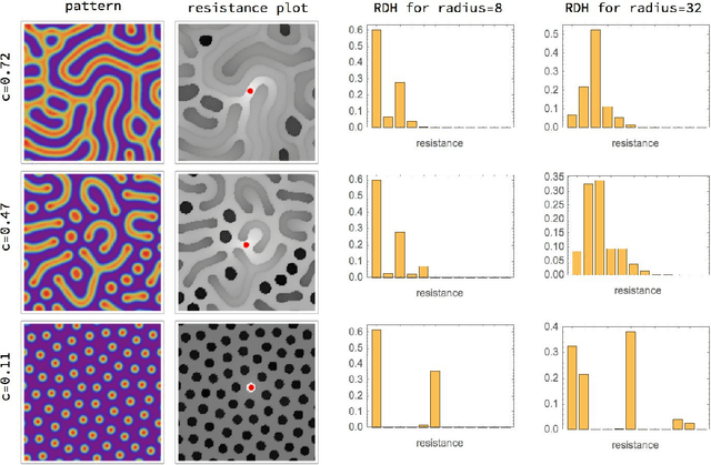 Figure 3 for Learning System Parameters from Turing Patterns