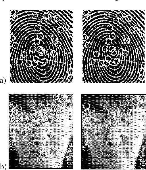Figure 1 for Feature Level Fusion of Face and Fingerprint Biometrics