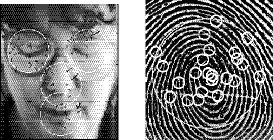 Figure 3 for Feature Level Fusion of Face and Fingerprint Biometrics