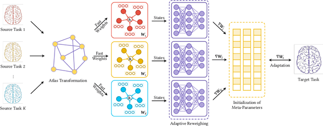 Figure 1 for Data-Efficient Brain Connectome Analysis via Multi-Task Meta-Learning