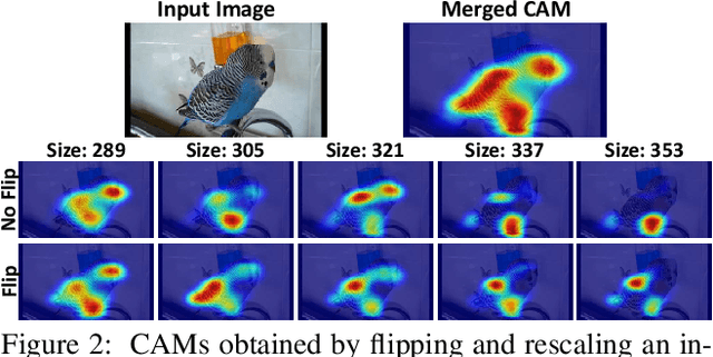 Figure 3 for Frame-to-Frame Aggregation of Active Regions in Web Videos for Weakly Supervised Semantic Segmentation